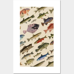 Fishes Posters and Art